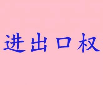 廣州進出口權備案申請條件與流程是什么